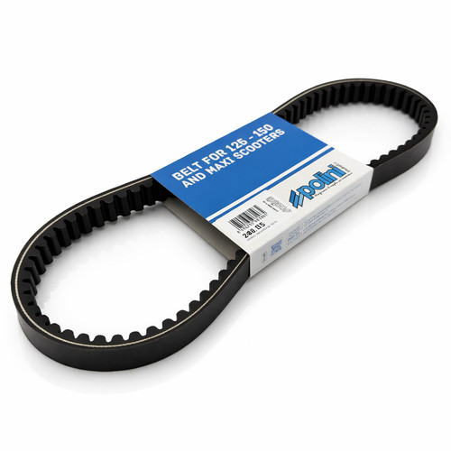 248 115 cinghia - cinghia, variatore