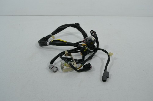 Impianto elettrico posteriore